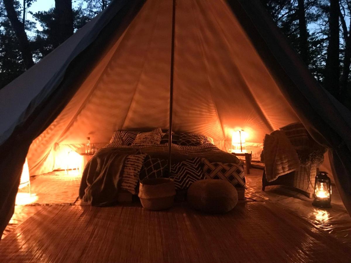 Forest Glamping Värmdö Eksteriør billede
