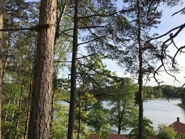 Forest Glamping Värmdö Eksteriør billede